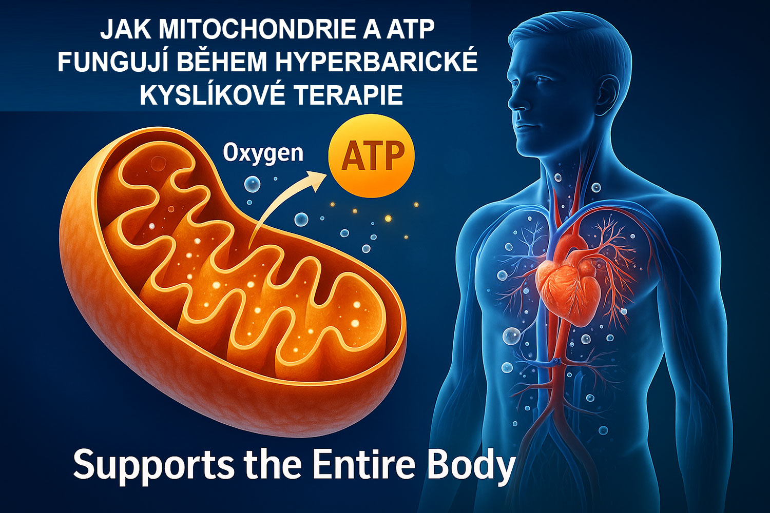 Mitochondrie a hyperbarická oxygenoterapie: jednoduché vysvětlení